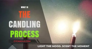 Understanding the Candling Process: Techniques, Benefits, and Applications Explained