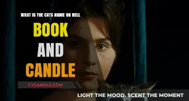 The Enchanting Feline: Unveiling the Cat's Name in Bell, Book, and Candle
