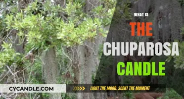 Discover the Chuparosa Candle: Its Meaning, Uses, and Cultural Significance