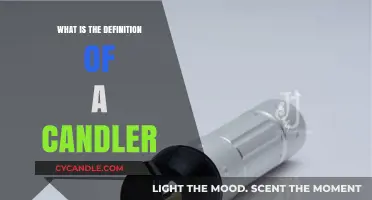 Understanding the Role and Definition of a Candler in Egg Inspection