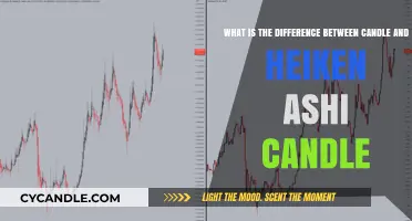 Candle vs Heiken Ashi: Key Differences Explained for Traders