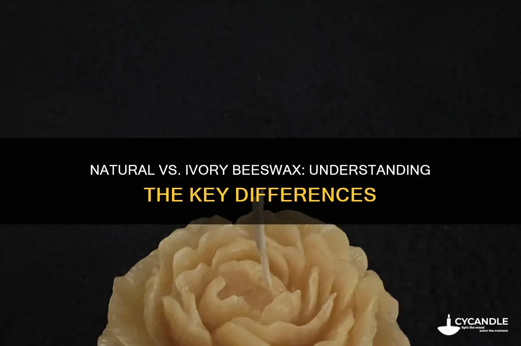 what is the difference between natural and ivory beeswax
