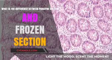 Paraffin vs. Frozen Sections: Key Differences in Tissue Processing Explained