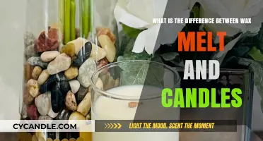 Wax Melts vs. Candles: Key Differences and Best Uses