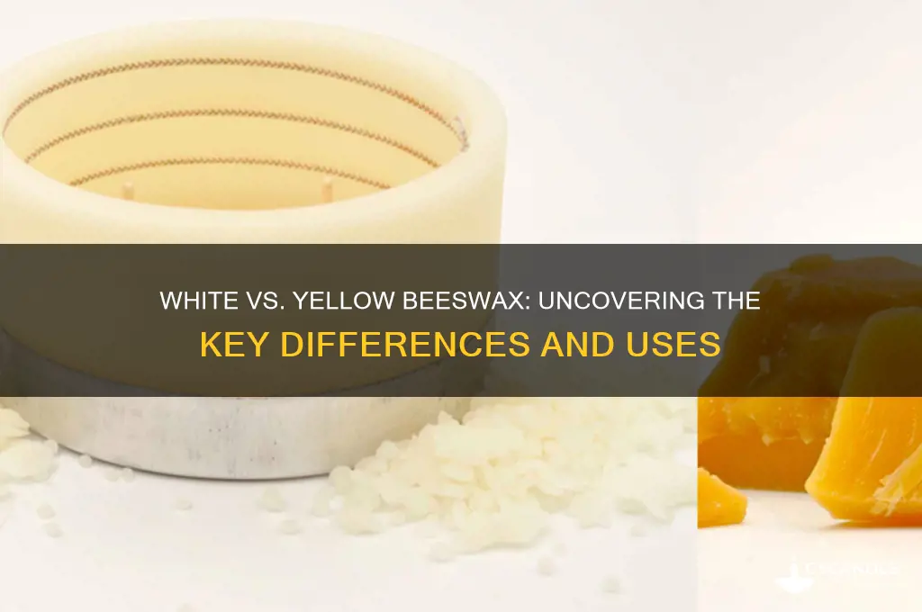 what is the difference between white and yellow beeswax