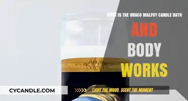 Draco Malfoy Candle: Bath & Body Works' Magical Scent Explained