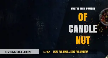 Candle Nut's E Number: Unveiling Its Food Additive Code