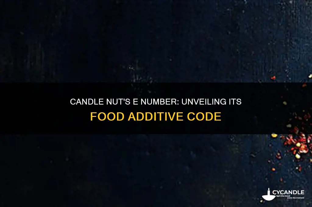 what is the e number of candle nut