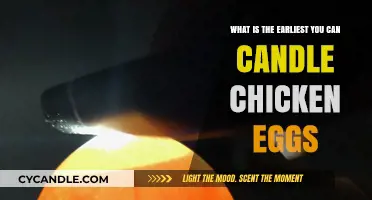 Candling Chicken Eggs: The Optimal Early Timing for Hatching Success