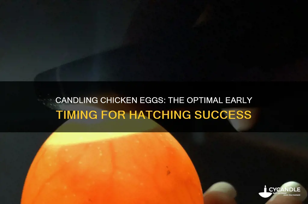 what is the earliest you can candle chicken eggs