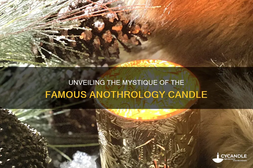 what is the famous anothrology candle