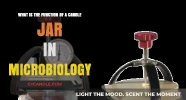 Candle Jars in Microbiology: Unveiling Their Essential Laboratory Function
