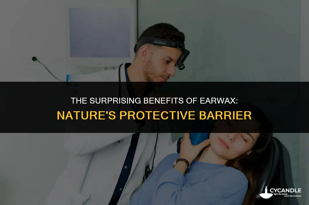 what is the function of ear wax
