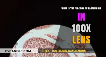 Paraffin Oil's Role in Enhancing 100x Lens Microscopy Performance