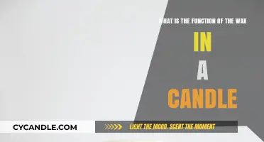The Role of Wax in Candles: Function and Importance Explained