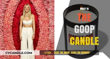 Unveiling the Goop Candle: Scent, Wellness, and Gwyneth's Lifestyle Brand