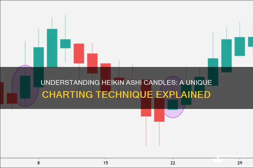 what is the heikin ashi candle