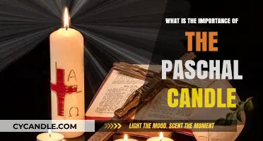 The Paschal Candle: Symbolizing Christ's Light and Resurrection in Liturgy
