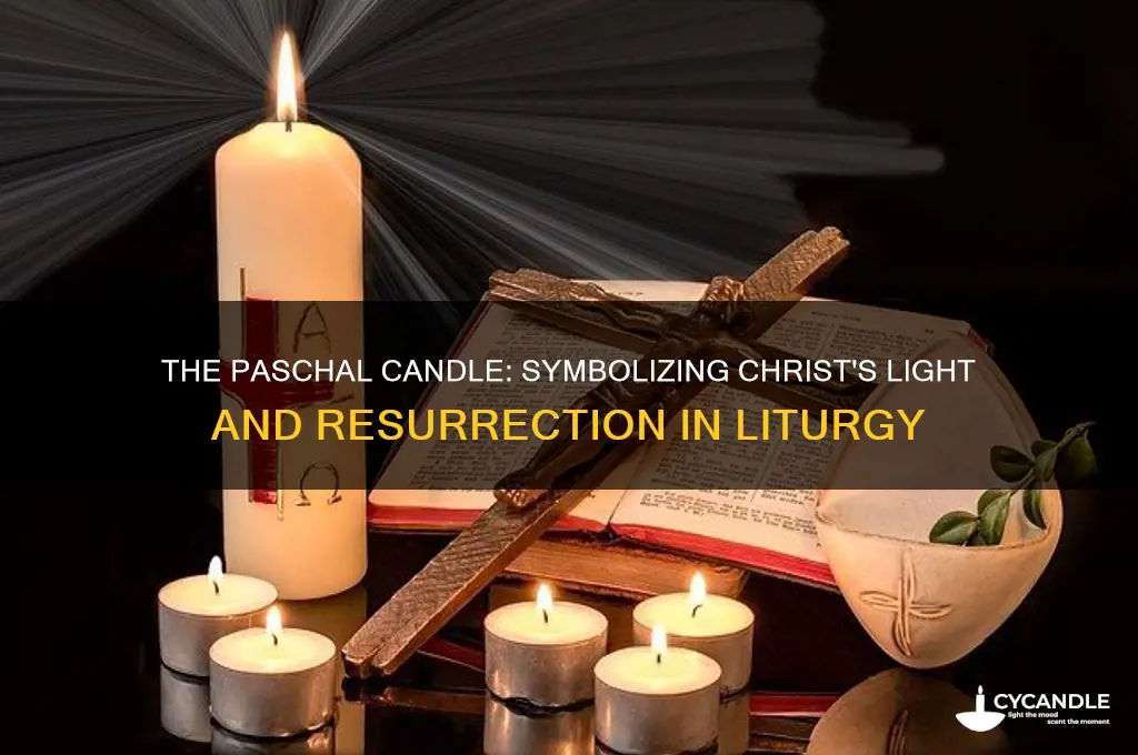 what is the importance of the paschal candle