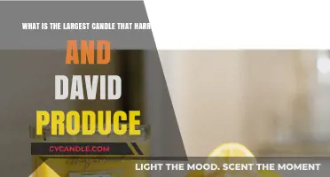 Harry & David's Biggest Candle: Size, Scent, and Details Revealed