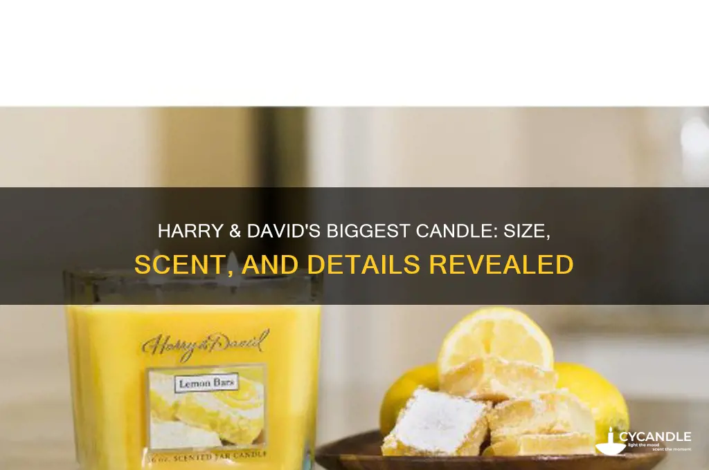 what is the largest candle that harry and david produce