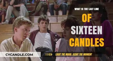 Sixteen Candles' Final Words: Unveiling the Iconic Last Line