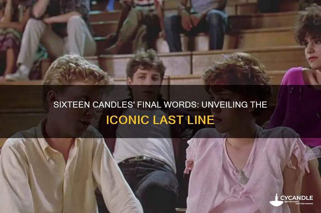 what is the last line of sixteen candles