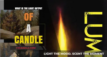 Candlelight Unveiled: Understanding the Luminosity of a Single Flame