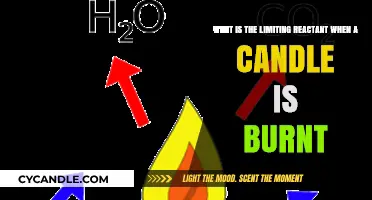 Candle Combustion Chemistry: Identifying the Limiting Reactant in Burning Wax