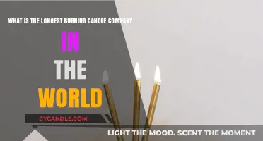 The World's Longest-Burning Candle Company: A Historical Overview