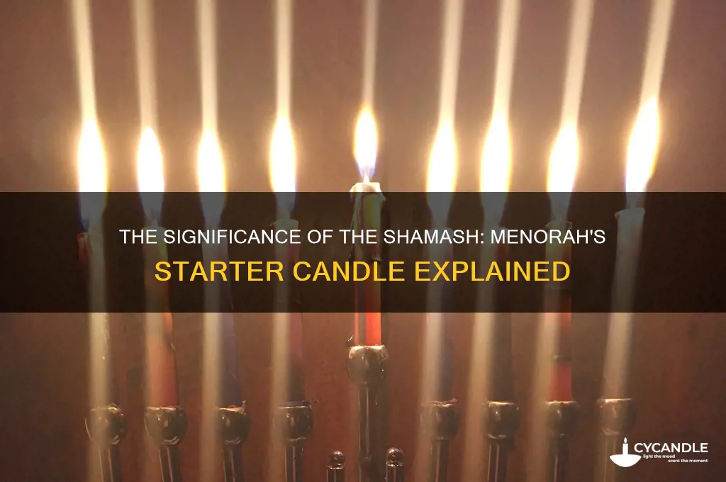 what is the menorah starter candle called
