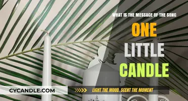 One Little Candle's Message: Hope, Unity, and Light in Darkness