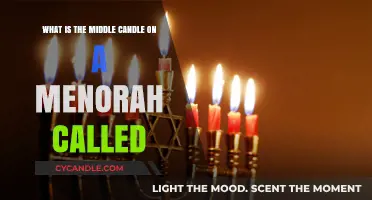 The Unique Menorah Center Candle