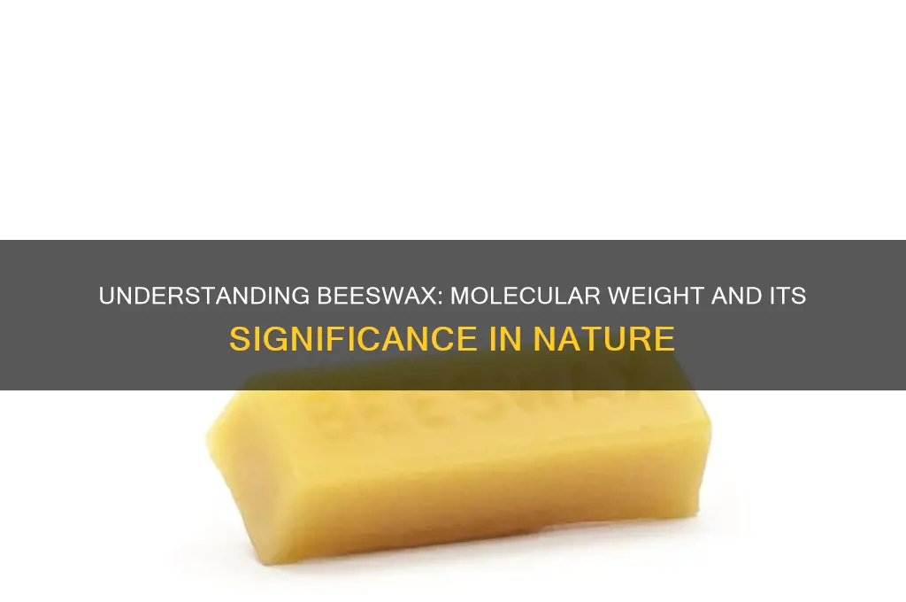 what is the molecular weight of beeswax