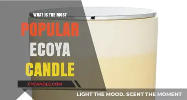 Discover Ecoya's Top-Selling Candle: A Scented Favorite for All
