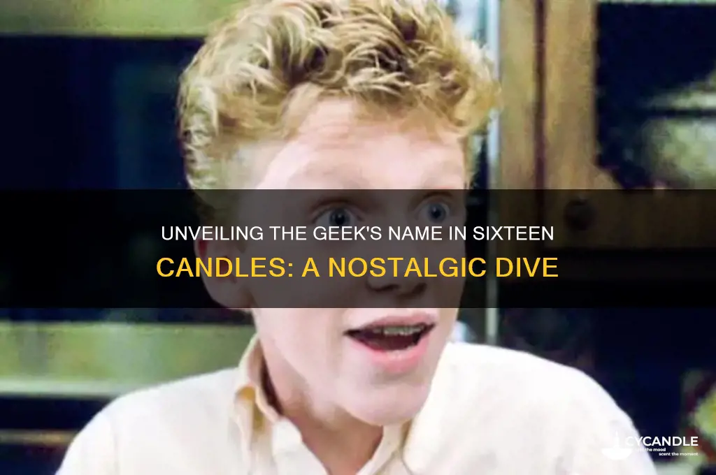 what is the name of the geek in sixteen candles
