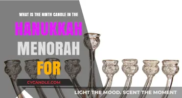 The Hanukkah Menorah's Ninth Candle: Purpose and Significance Explained