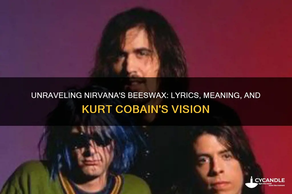 what is the nirvana song beeswax about