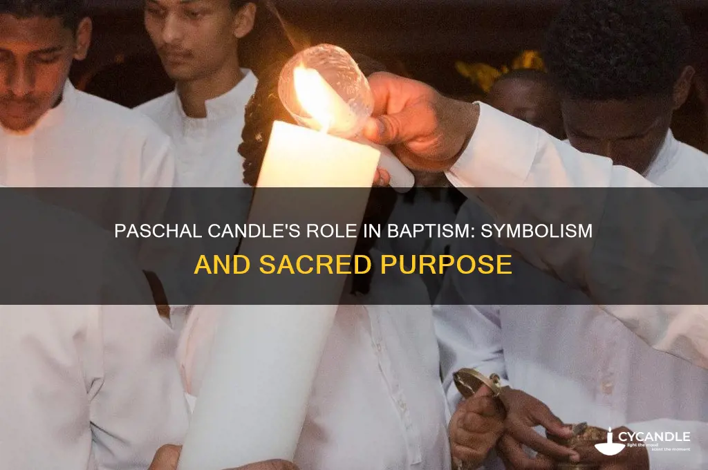 what is the paschal candle used for in baptism