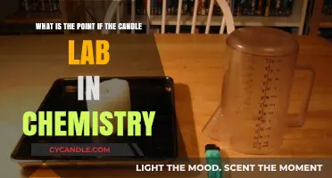 Exploring the Purpose of the Candle Lab in Chemistry Experiments