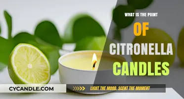 Citronella Candles: Repelling Mosquitoes and Enhancing Outdoor Comfort