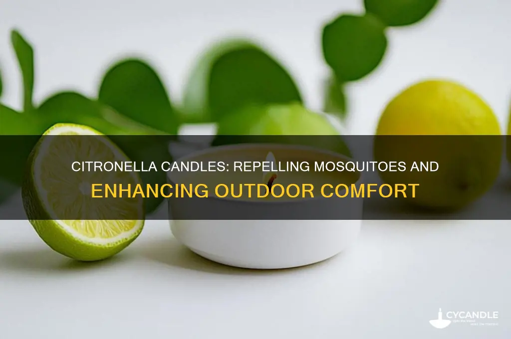 what is the point of citronella candles