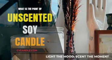 Unscented Soy Candles: Purpose, Benefits, and Eco-Friendly Appeal