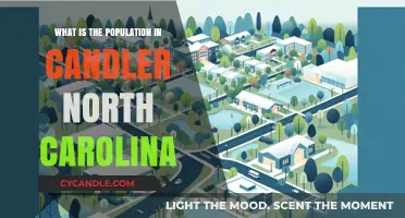 Discovering Candler, North Carolina: Unveiling Its Current Population Statistics