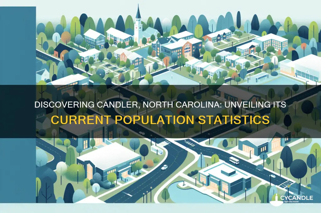 what is the population in candler north carolina