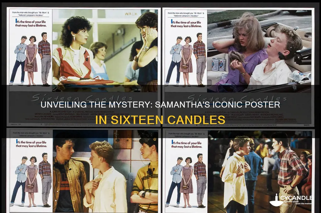 what is the poster in samantha
