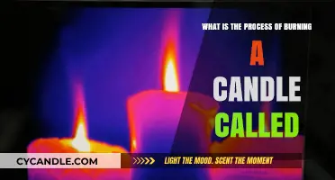 The Science Behind Candle Burning: Understanding the Combustion Process