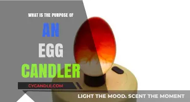 Understanding the Purpose and Benefits of Using an Egg Candler