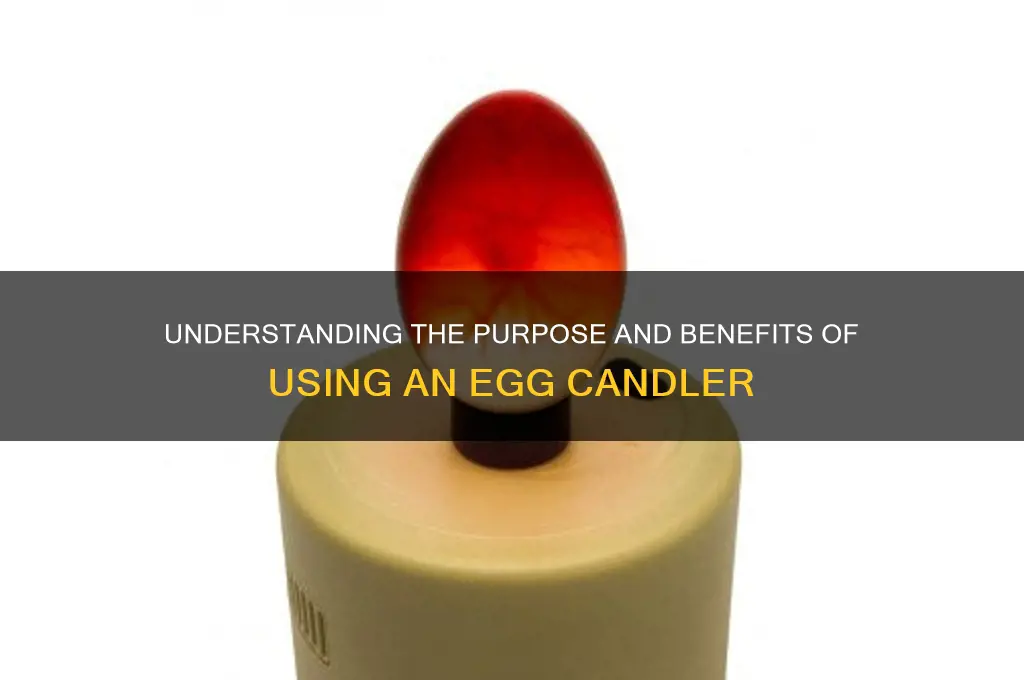 what is the purpose of an egg candler