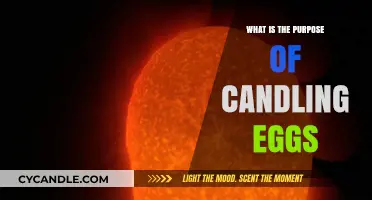 Candling Eggs: Unveiling the Purpose and Benefits of This Ancient Practice